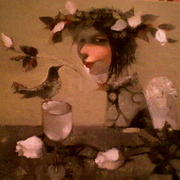 Dsc00026_card