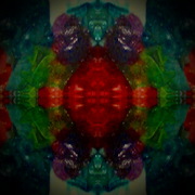 Img_4240_speere_card