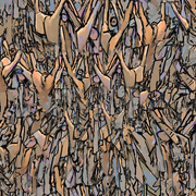_____________card
