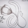 New_work_2_thumb