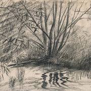 2007-osier-tree-bitza-river_card