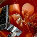 Dsc00073-1_square