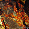 Rock_pool_thumb