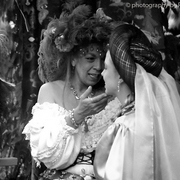 Renaissancefestival1-post_card