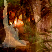 Candle_light_