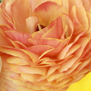 Img_3922_2_2_card