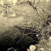 ______1318_card