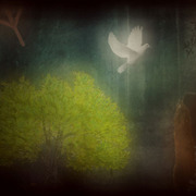 Peace_on_earth_card