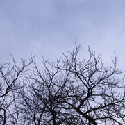 Picture_047_card