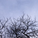 Picture_047_square