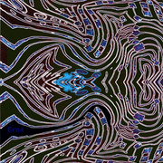 Little_fish_card