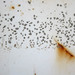 Erosion-3_square