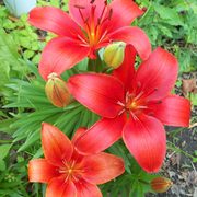 111_0006_card