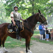 Bostonpoliceofficerbostonpublicgardens_card