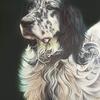 Setter_inglese__olio_su_tela__40x50_cm__2006_thumb