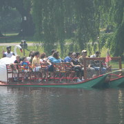 Swanboatridebostonpublicgarden_card