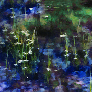 The_water_garden_card
