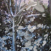6-1_p001_card