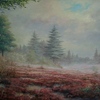 Heide_2_thumb