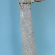 Vertebrata_res_scelta_card