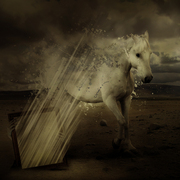 Horse_card