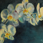 Orchid500_card