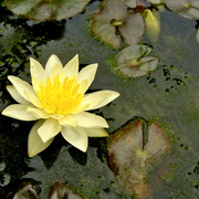 Dsc08361_card