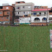 Galo04_card