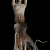 Gildelemos1263816499-transmutationsquid__1__thumb