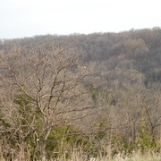 Dsc_0851_card