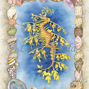 Leafy-sea-dragon-lg_card