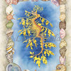 Leafy-sea-dragon-lg_thumb