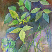 2007-grass_0218_card
