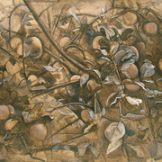 2004-apples_0230_card