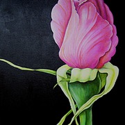 Prettyinpinkrose1_card