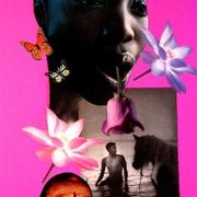 Collage_shots_three_022__small__card
