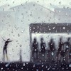 Rain_thumb