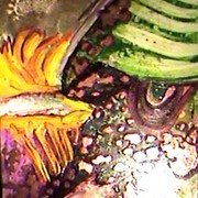 Vegetatie_card