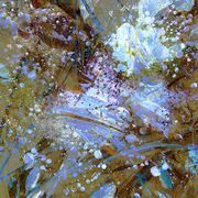 Fire_ice_card