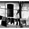 Dsc_3330_copia_thumb