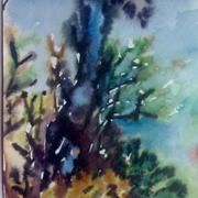 07-06-10_1857_card