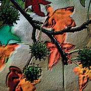 Autumnbranch_fruit1_art7_card