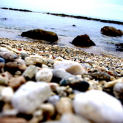 Imgp3535_card