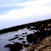 Imgp3542_card