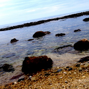 Imgp3544_card