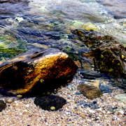 Imgp3547_card