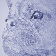 Kirby_portrait_low_res_blue_card