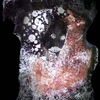 A_rough_black_coat_thumb