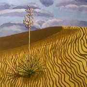R_desert3_card
