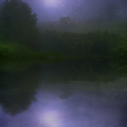 Dawn_quiet_card